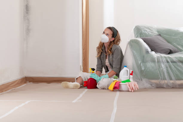 Reliable Mold Testing contractor in Omena, MI by WQB Mold Removal